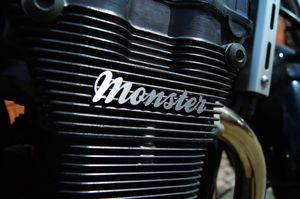 Schriftzug Monster Schriftzug Monster aus gebürstetem Edelstahl an Motorrad